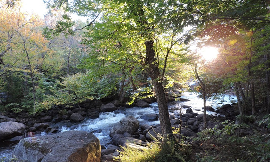 Image 4: Spa Getaway in the Laurentians