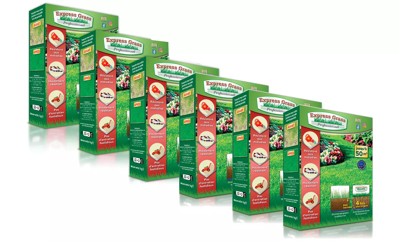 Graines de gazon express traditionnel