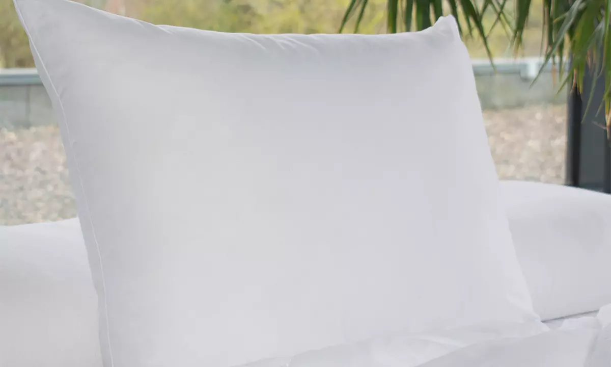 Lot 2, 4 ou 6 oreillers Aloe Vera - Second Medium