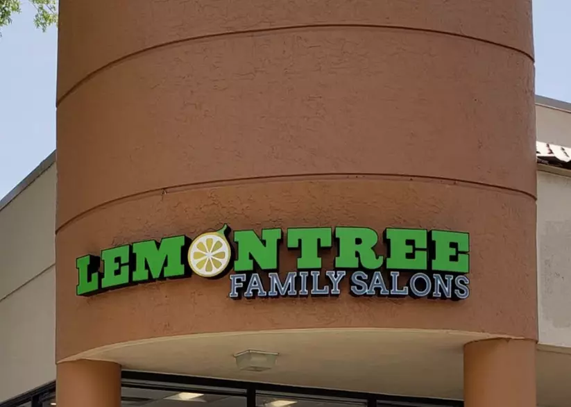Women's Shampoo, Haircut, and Style with Optional Color at Lemon Tree Family Salons (Up to 23% Off) - Primary Image