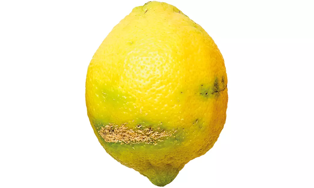 Wertgutschein über 25,99 € oder 29,99 € anrechenbar auf Boxen mit krummem Bio-Obst und Bio-Gemüse von etepetete - Second Medium