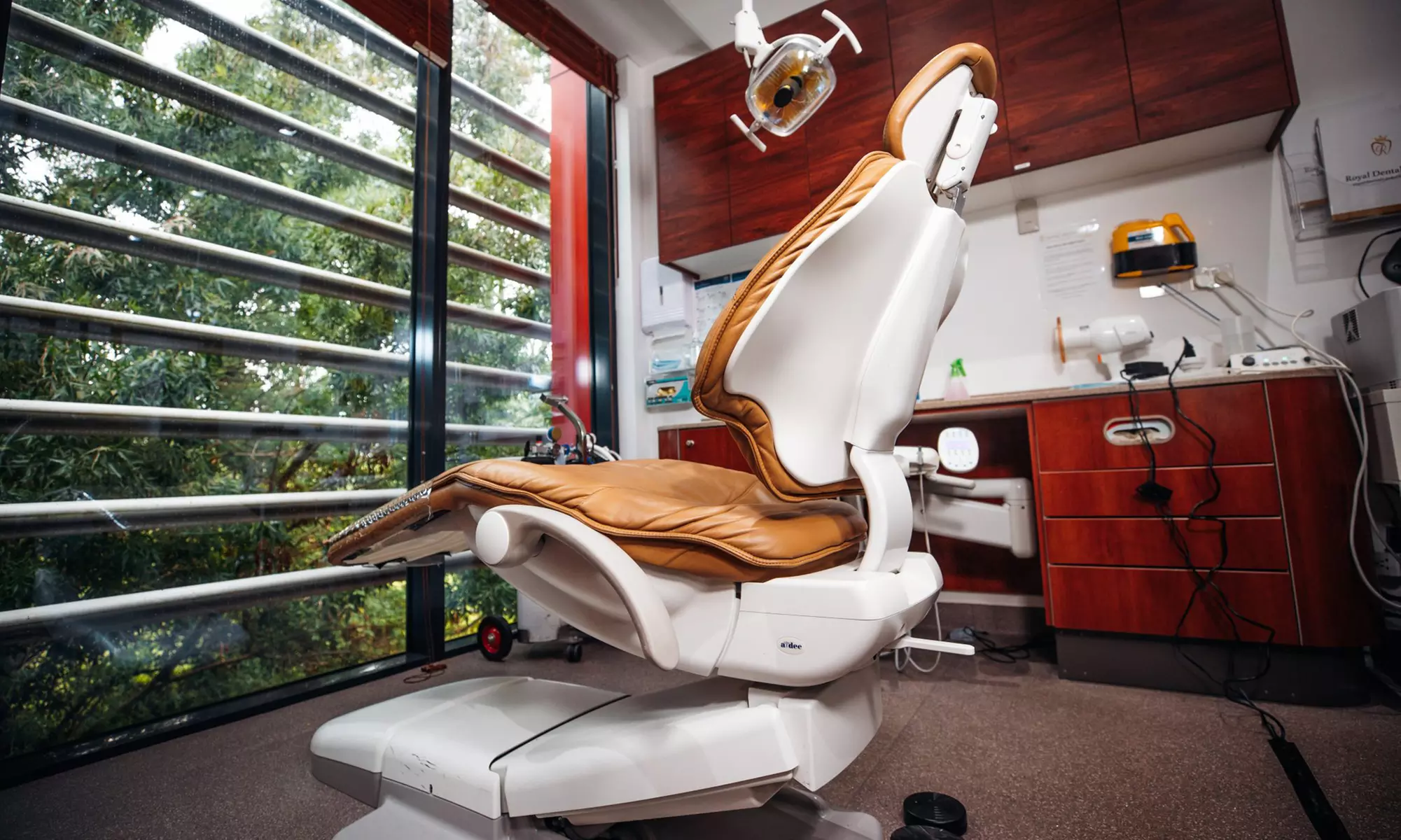 Dental Check Ups with X-rays at Royal Dental Care