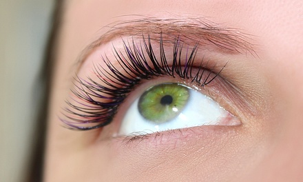 One Eyelash Lift and Tinting Session - Blossom Brows Threading Salon (Manhattan)