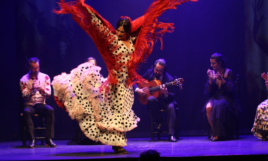 Image 4: Entradas para el espectáculo "Esencia" en el Teatro Flamenco de Málaga