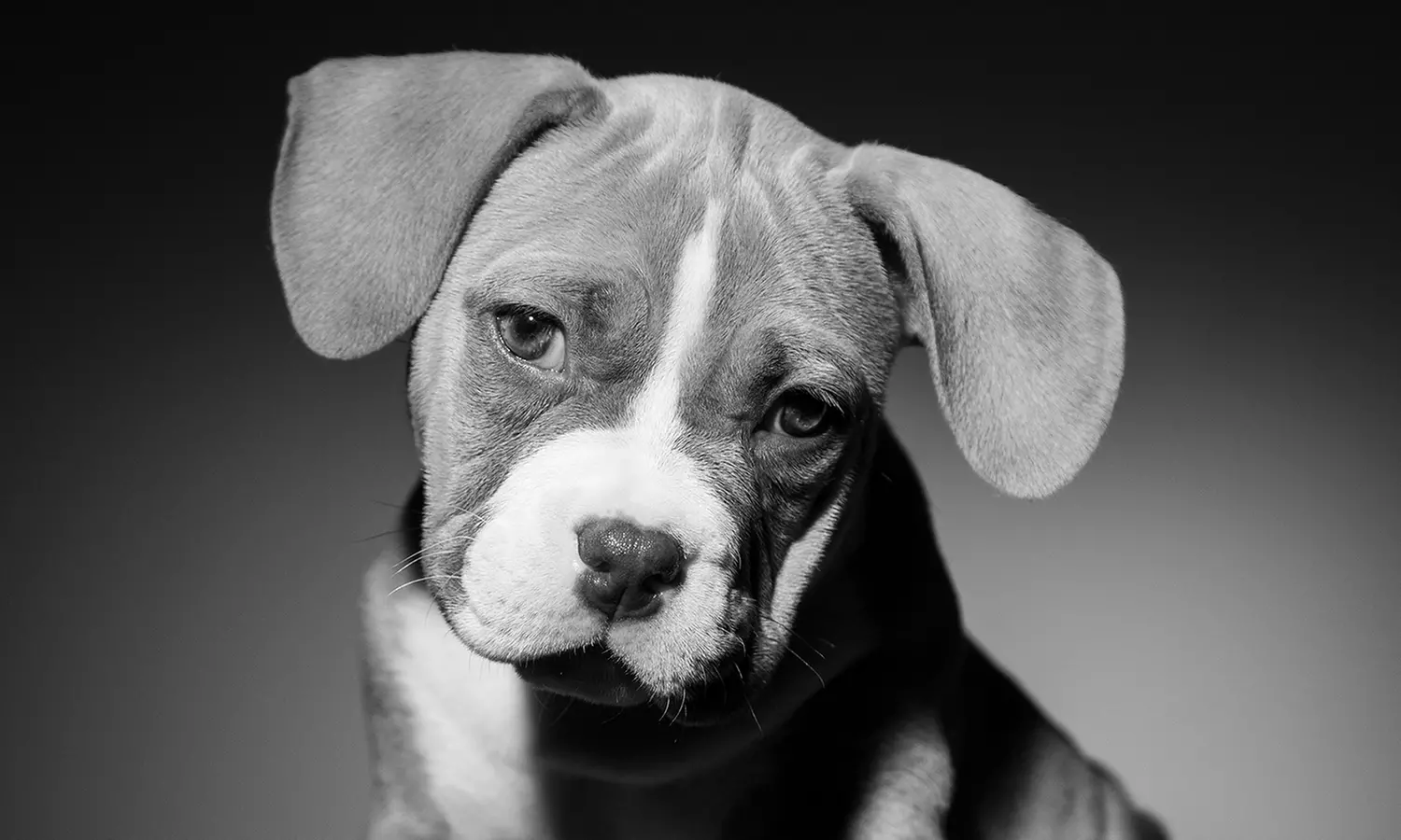 Sesión de fotos en estudio en El Retrato