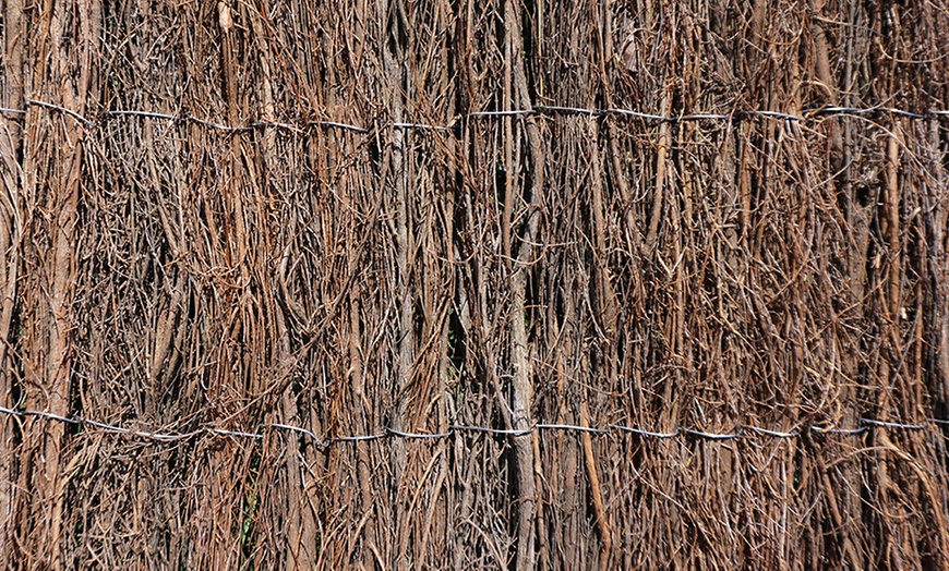 Image 4: Brushwood Thatch Screen Roll