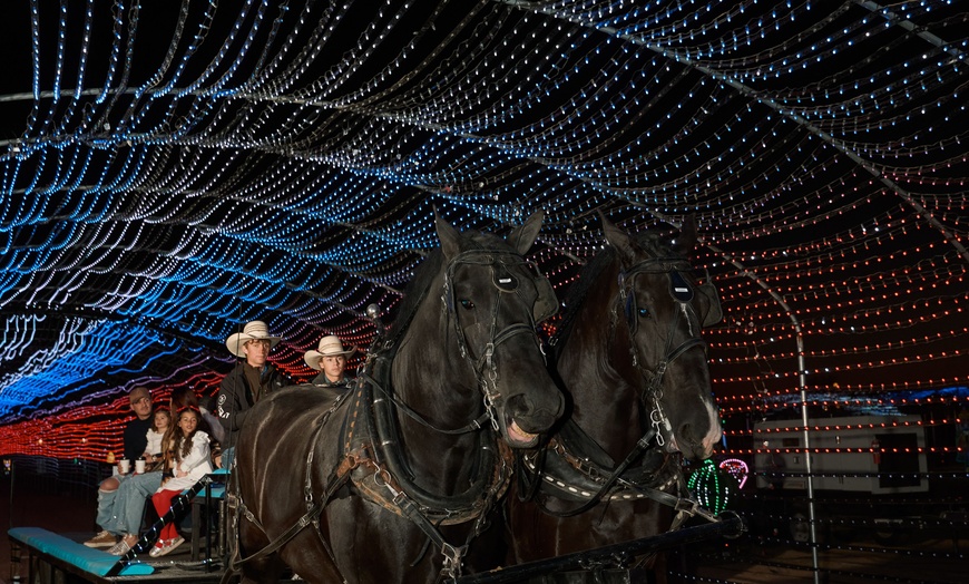 Image 8: Desert Farm Lights - Holiday Festival Admission for Two