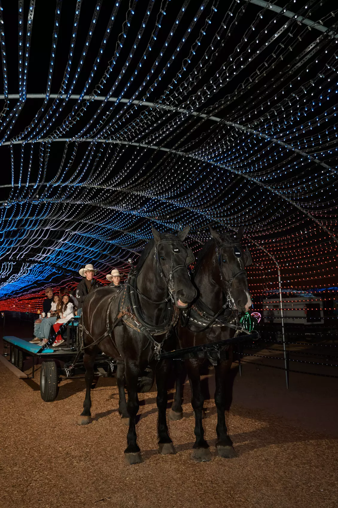 Desert Farm Lights - Holiday Festival Admission for Two