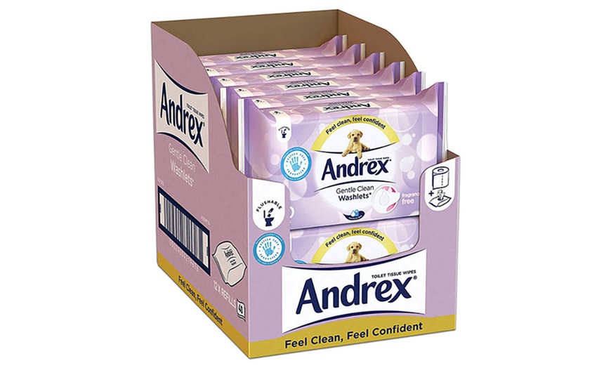 Image 11: Andrex Flushable Wipes
