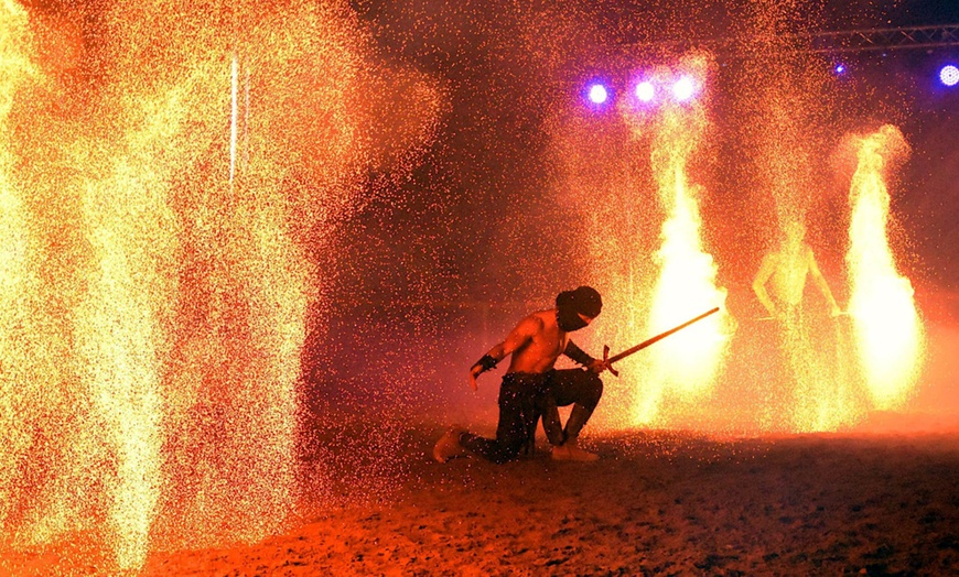 Image 5: Sitzplatz-Ticket für "Traumwelten - Die Pferdeshow" in Mönchengladbach