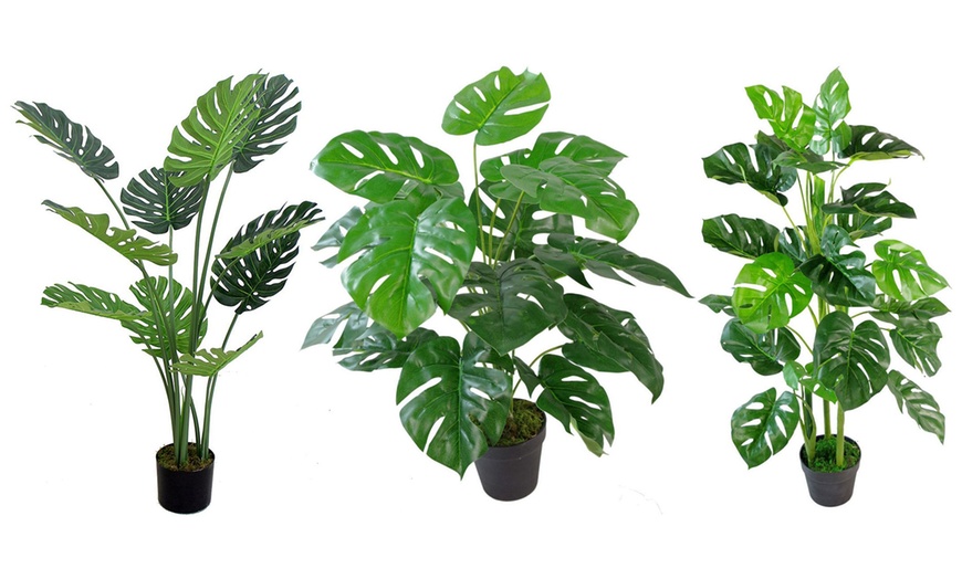 Image 1: Choice of Leaf Artificial Monstera Cheese Plant