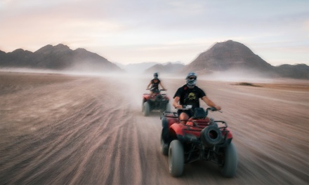 For One: Desert Safari and 30 mins Quad Bike with Pick-Up and Drop-Off