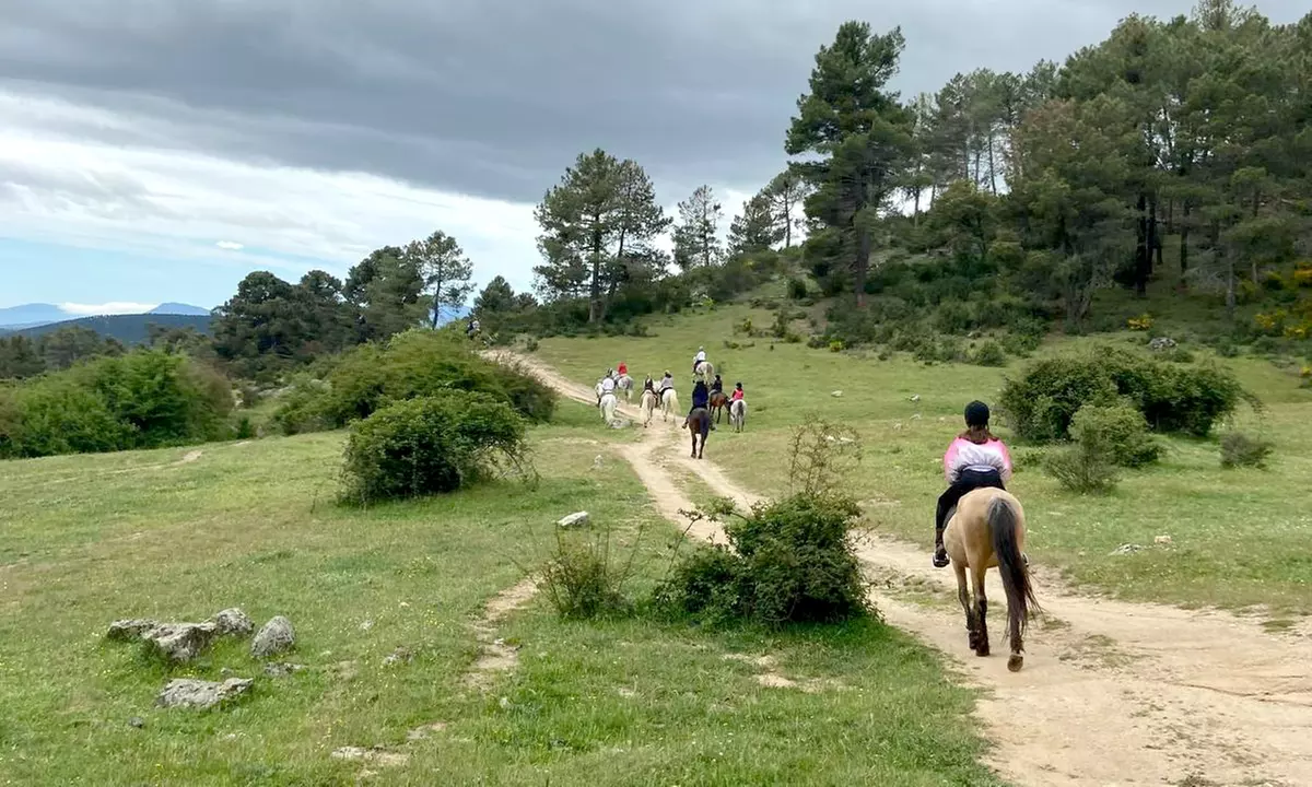 Disfruta de un paseo a caballo de una hora para hasta 4 personas