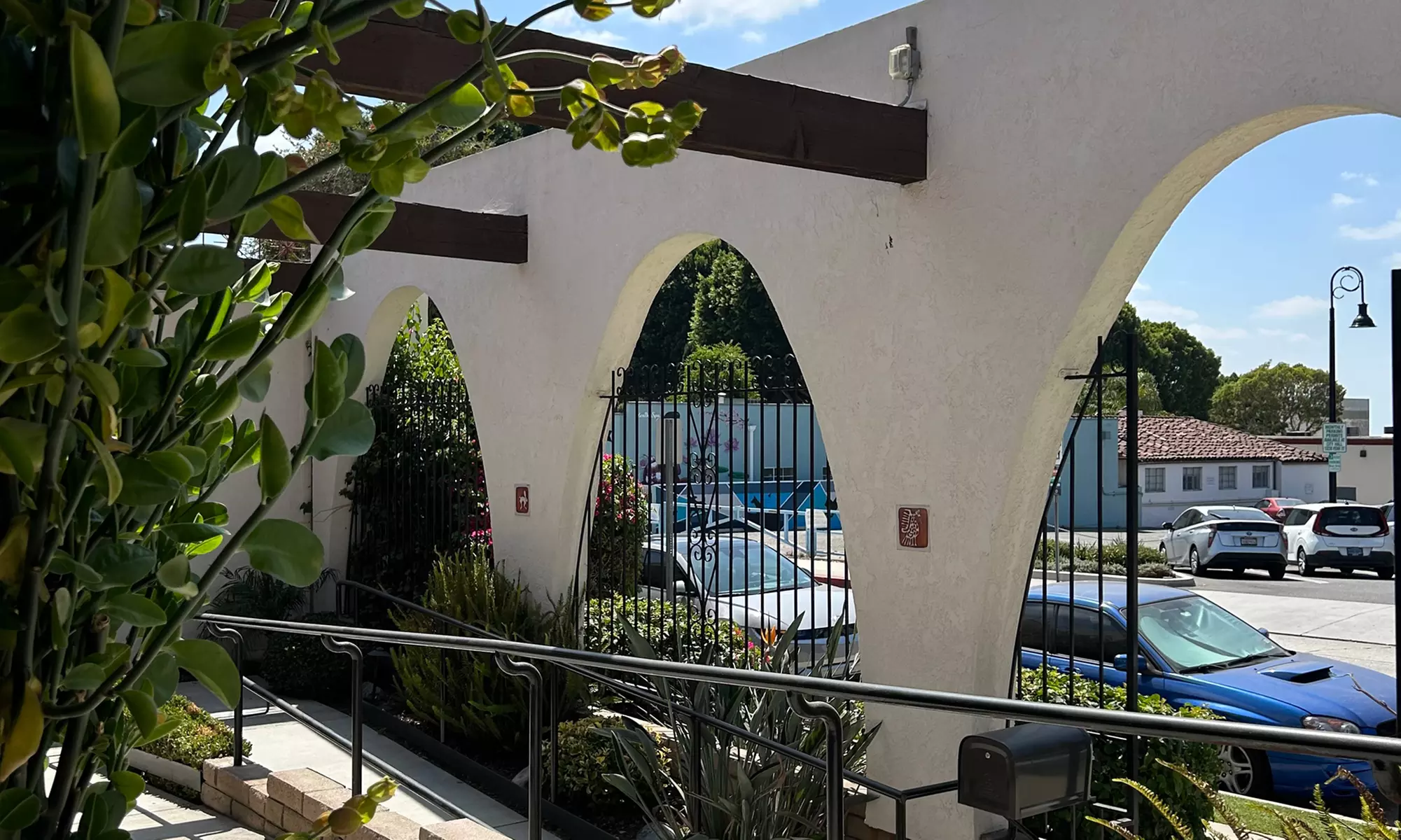 Comprehensive Dental Exams, Cleaning, X-rays, and Free Implant Consult