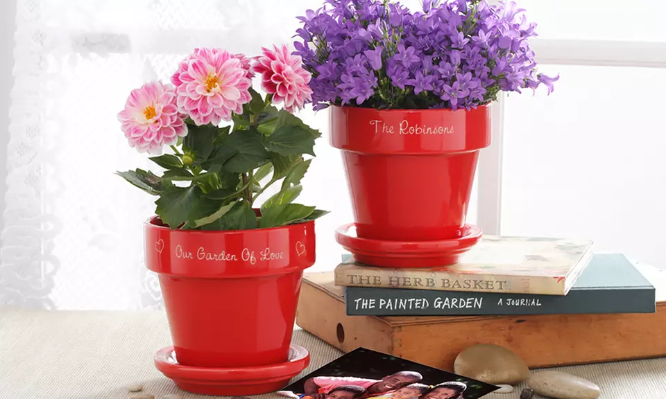 Personalized Flower Pot (Up to 52% Off) - Primary Image