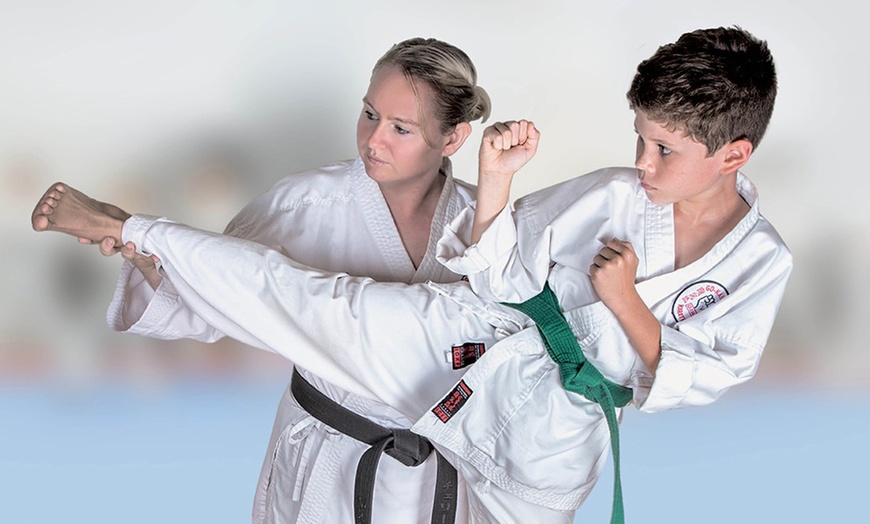 Image 7: Unlimited Karate Access