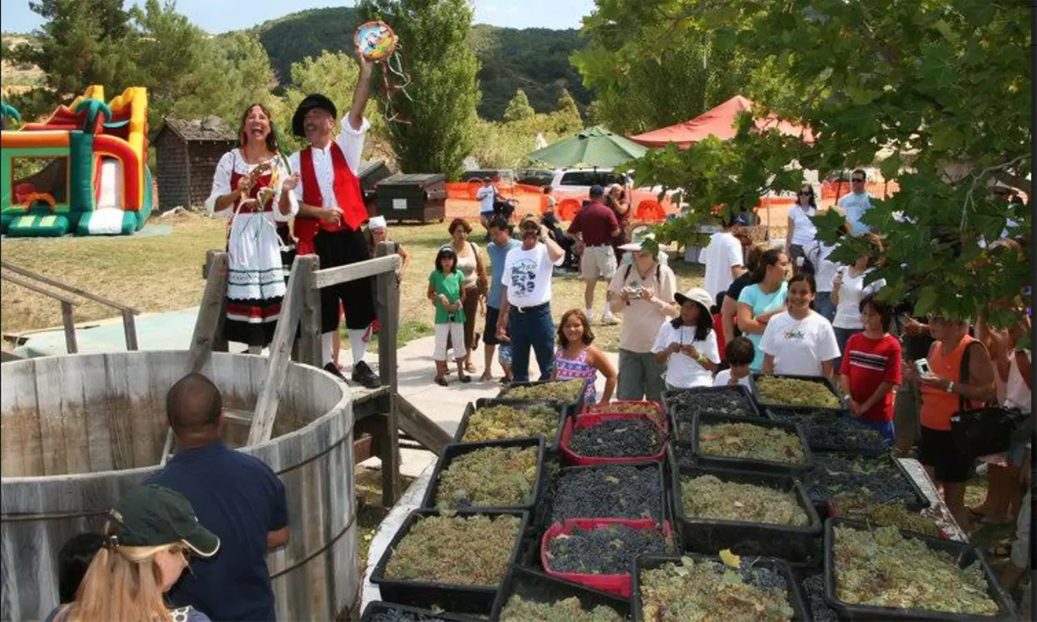 Ticket to Julian Grape Stomp Festa (Up to 25% Off) - Primary Image