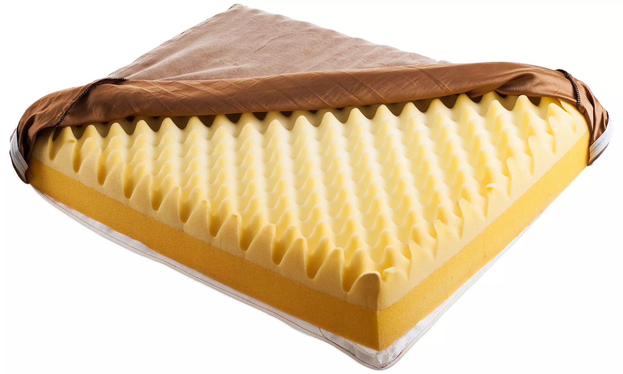 PAW Memory-Foam Dog Bed with Removable Cover - Second Medium