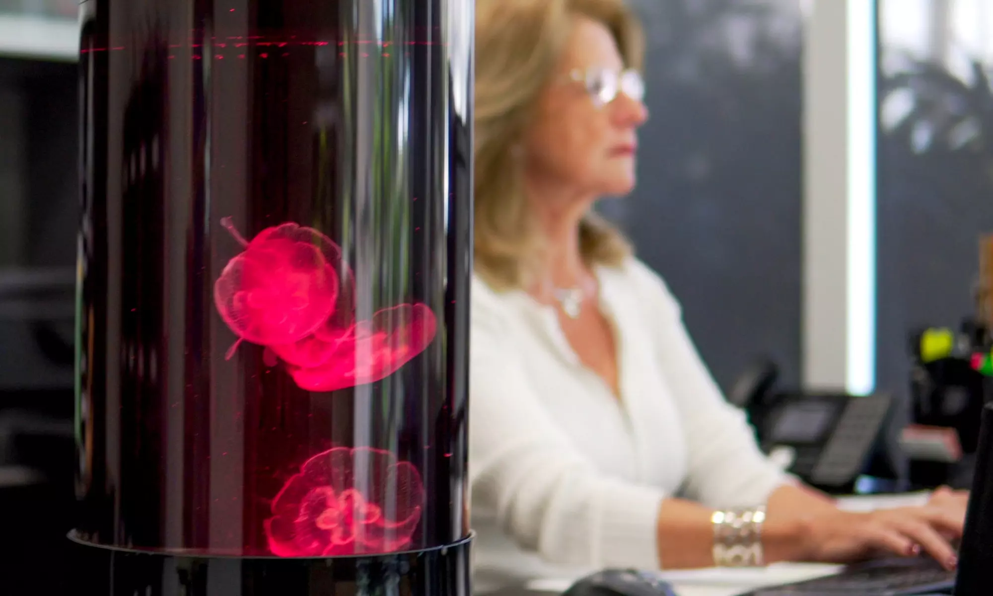 Create a captivating aquatic environment with JELLYFISH ART, LLC's Jelly Cylinder Nano Gen2 aquarium kit, up to 20% off - Second Medium