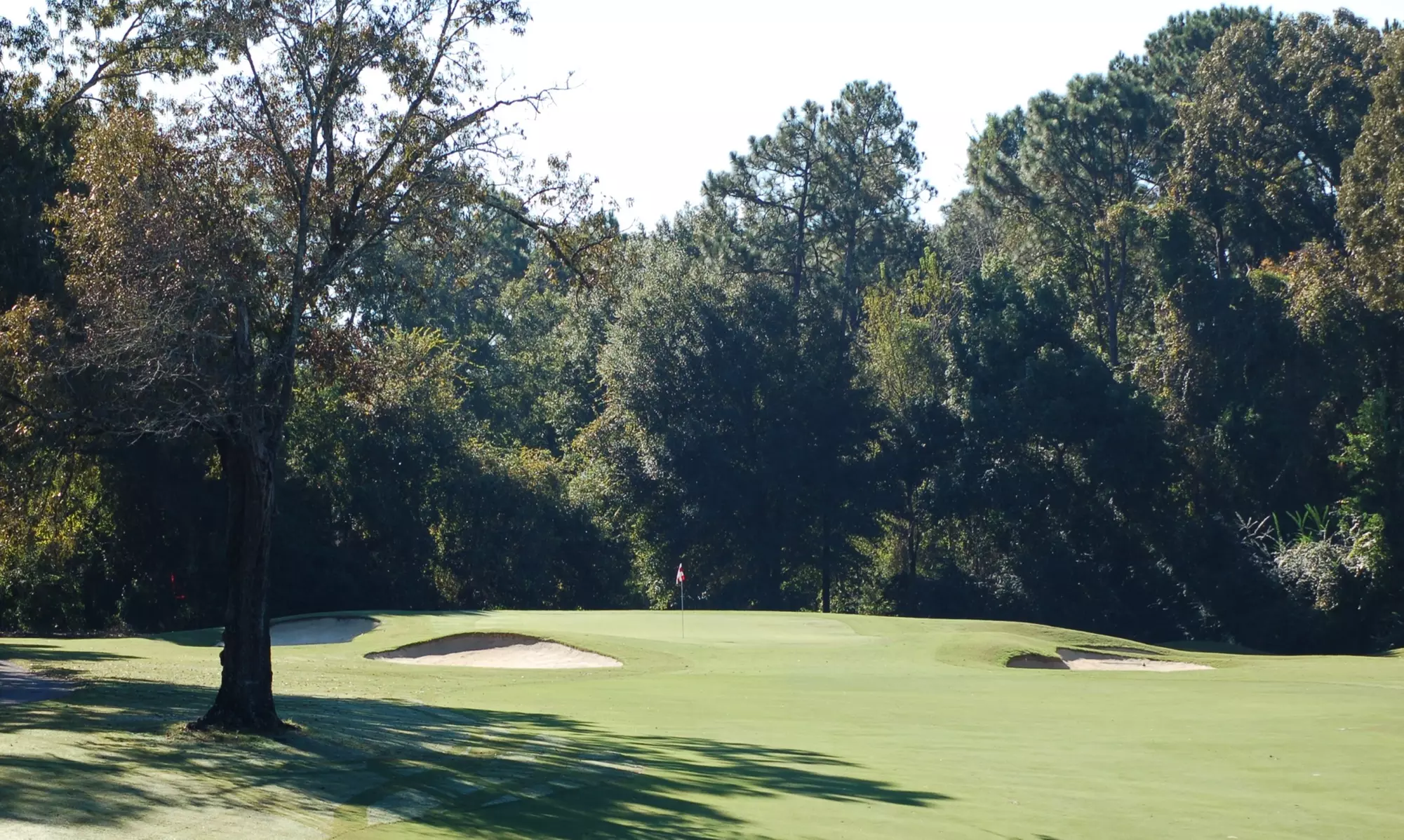 Up to 30% Off on Golf - Recreational at Lake Forest Golf Club - Primary Image