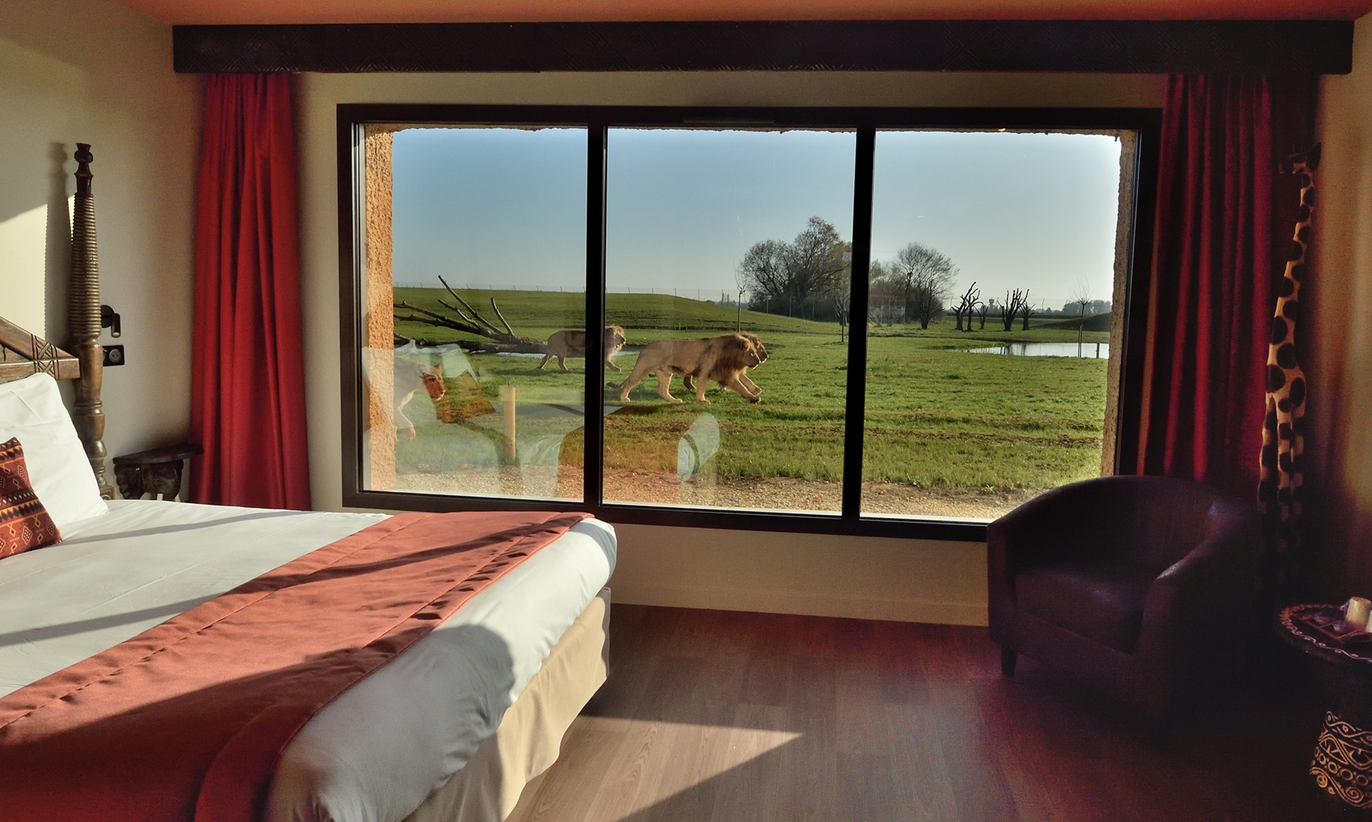 Séjour en famille au Royaume des Lions : nuit magique face aux fauves