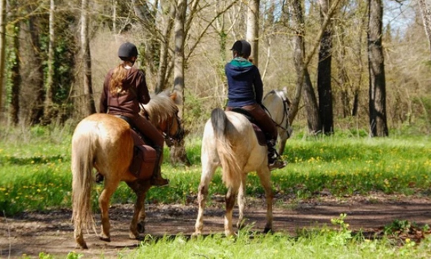 Image 3: Paseo de caballo de 90 minutos por la Vega de Granada para 1, 2 o 3