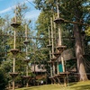 Image 7: Zipline Adventure & Obstacle Park in Stevens, PA | Refreshing Mountain