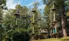 Experience a Full Day of Ziplining, Obstacle Courses, and Nature Trails at Refreshing Mountain - Up to 25% Off