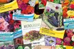 Mixed Flower and Vegetable Lucky Dip Seed Bumper Bundle - 50 or 100 Packs - Second Medium
