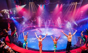 Adult or Child Ticket to Hippodrome Great Yarmouth (December 11 - 19)