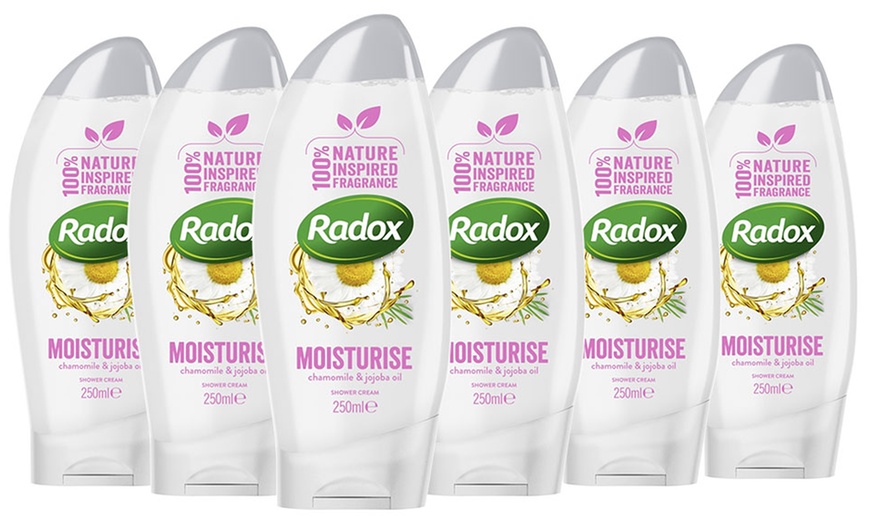 Image 5: Radox Shower Gel Six-Pack