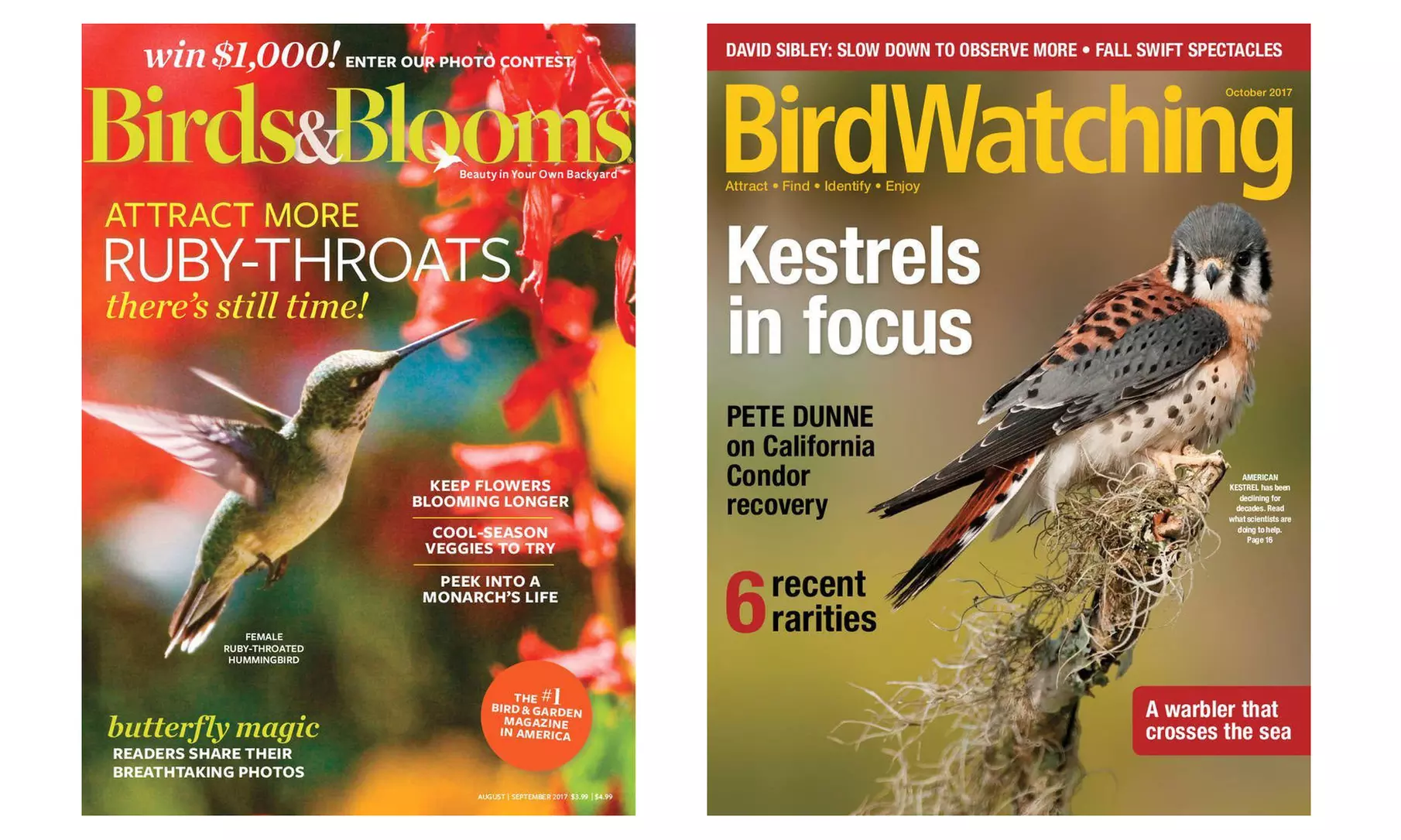 Birds & Blooms or Birdwatching Subscription (One Year, Up to 29% Off) - Primary Image
