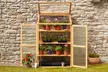 Garden Gear 3 Tier Wooden Cold Frame / Greenhouse - Second Medium