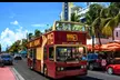 Up to 25% Off Hop-On Hop-Off Bus Tours of Miami – Explore Top Landmarks with 24- to 48-Hour Access - Second Medium