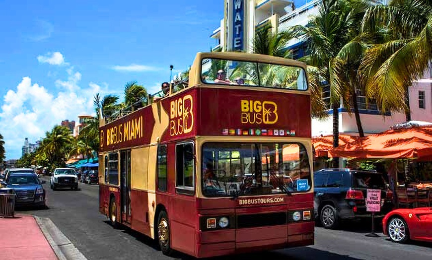 Image 4: Miami Hop-on Hop-off Tour with 9 Stops and Optional Cruise