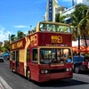 Image 4: Miami Hop-on Hop-off Tour with 9 Stops and Optional Cruise