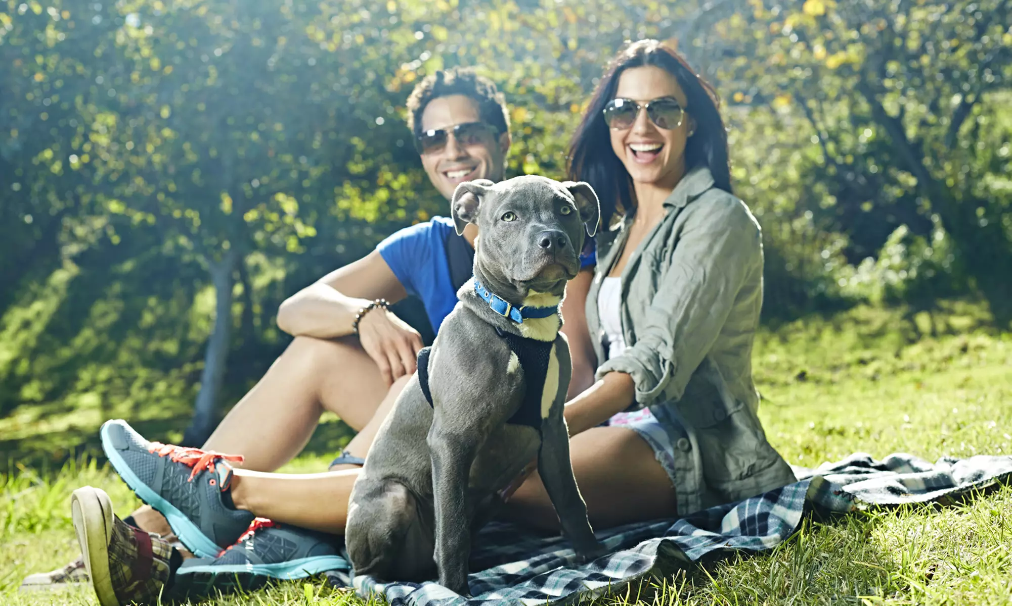 $138 for a Two-Hour Behavior Consultation and Etiquette Training for Dogs — Zephyr Dog Training ($250 Value) - Primary Image