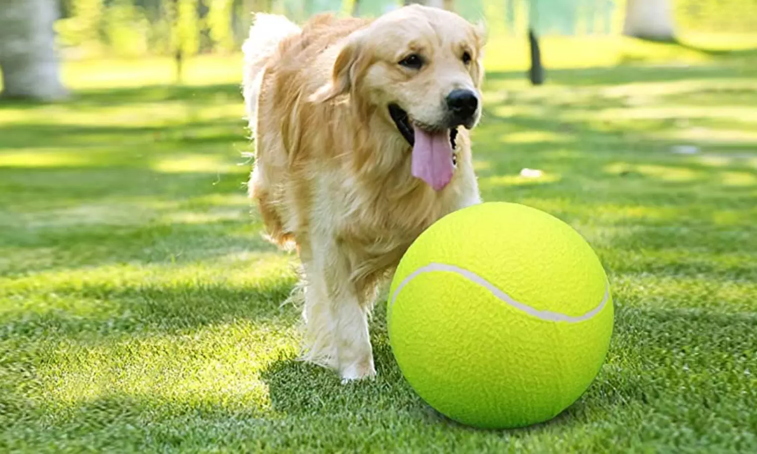 Waloo Pets 8" Tennis Ball with Pump (1- or 2-Pack) - Primary Image