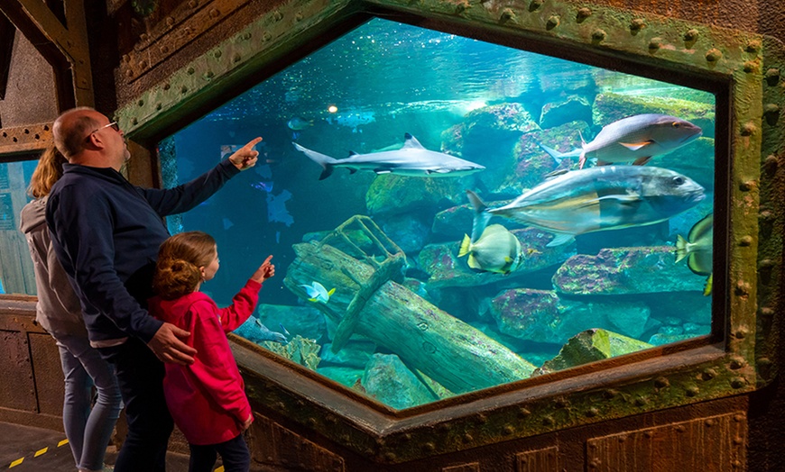 Image 1: Entrée à l'Aquarium d'Amneville