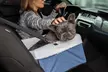 Paws & Pals Car Seat Booster for Small and Medium Dogs - Second Medium