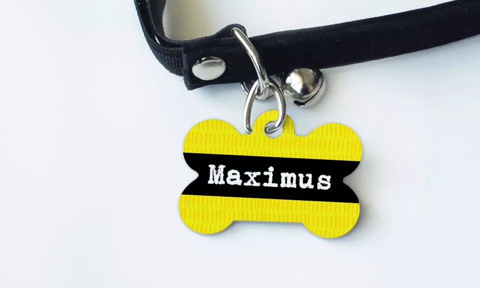 One, Two, or Three Personalized Personalized Pet Tags from Photobook America (Up to 69% Off) - Primary Image