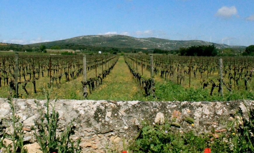 Image 4: Jusqu'à 66% de remise sur Dégustation - Vins chez Clos Sorian