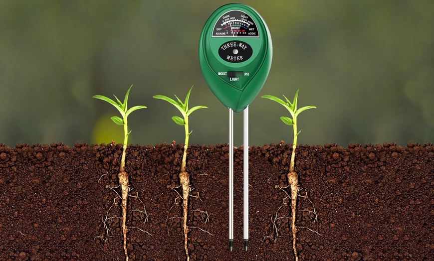 3-in-1 Soil Moisture Test Kit | Groupon