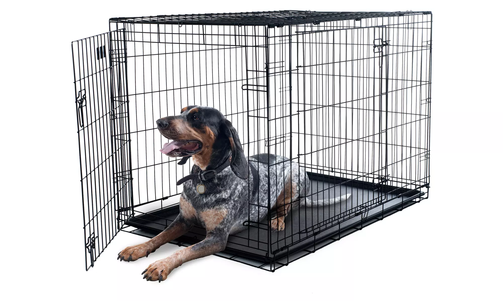 2-Door Collapsible Metal Pet Crate with Removable Tray - Primary Image
