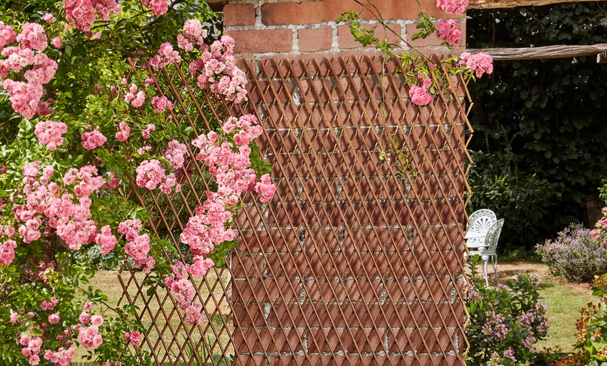 Image 2: Two or Four Extendable Willow Garden Trellises