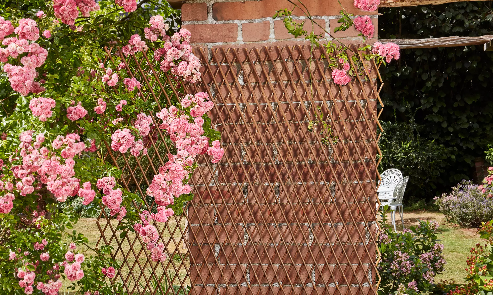 Two or Four Extendable Willow Garden Trellises
