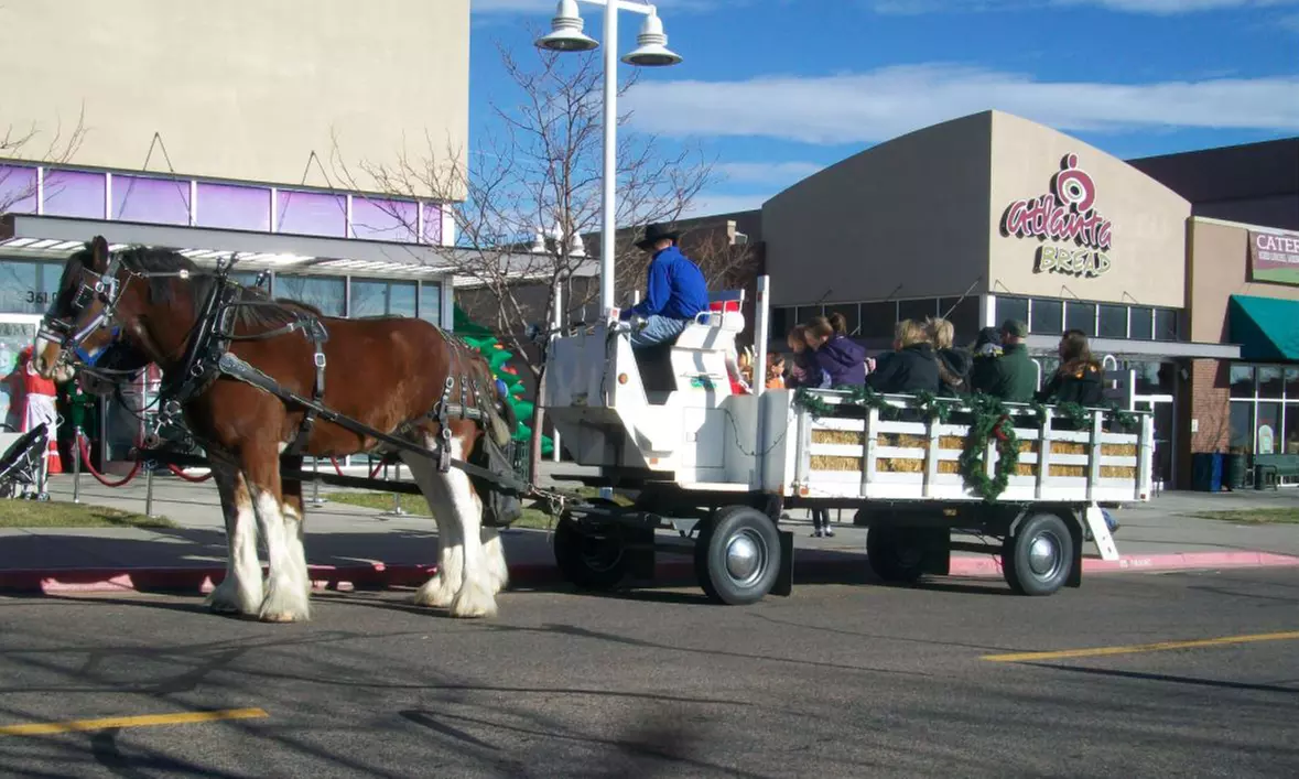 Two-Hour Private Hayride for Any Special Occasion from Kodiak Ranch - Primary Image