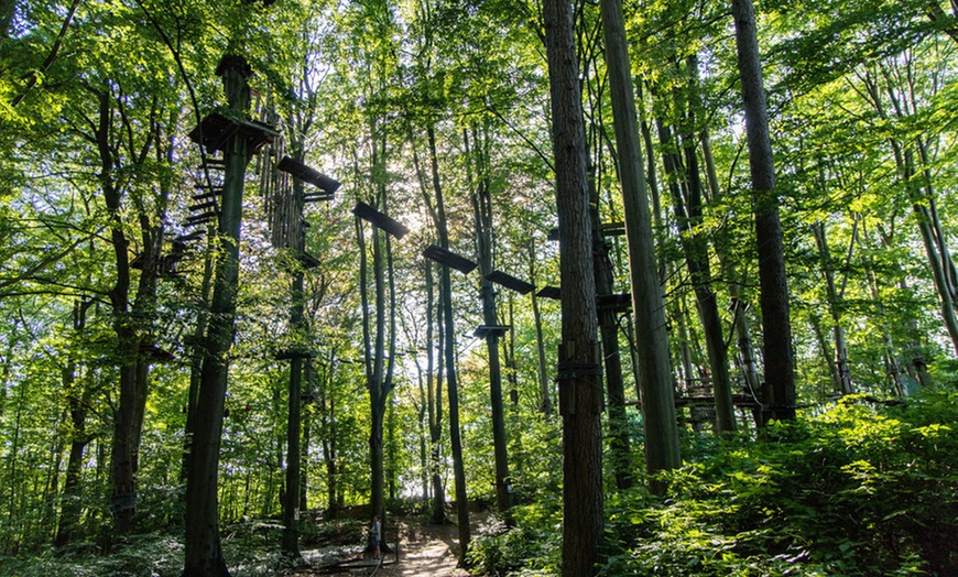 Image 5: Eintritt Hochseilgarten inkl. Super-Seilbahn