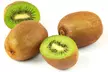 Lot de 3 ou 6 plants de kiwi Actinidia deliciosa "Jenny" - Image 4
