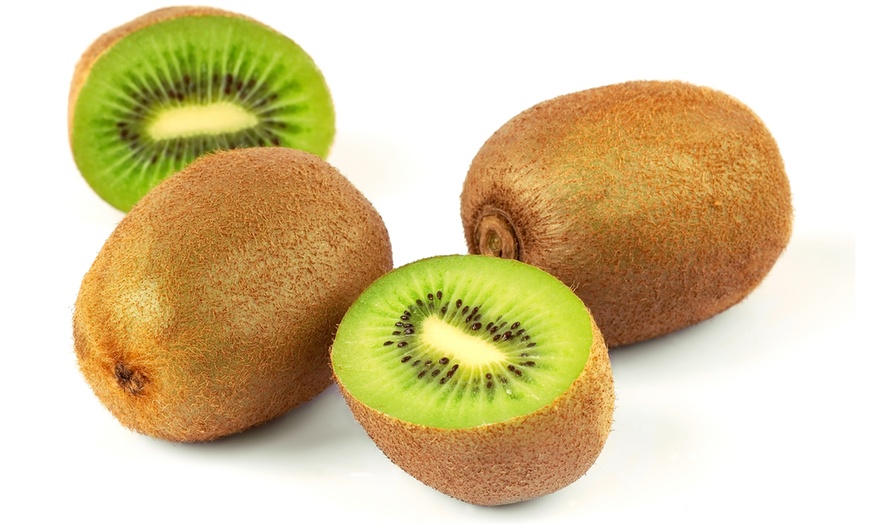 Image 4: Kiwi Actinidia deliciosa "Jenny"